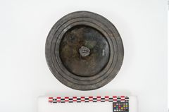 Foto von Bronzephalere (NHMW-PRAE-025079)